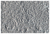 Lobate Debris Apron in Tempe Terra

