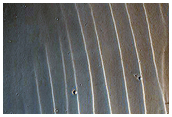 Southeast Rim of Leighton Crater
