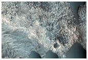 Dunes in North Arabia Terra
