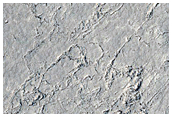 Cerberus Palus Lava Margin
