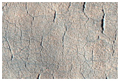 Scalloped Depression in Western Utopia Planitia
