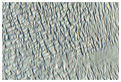 Layers on Pedestal Crater in Tikhonravov Crater
