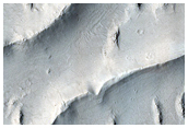 Curvilinear Ridges in Aeolis Planum