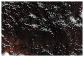 Collections of Bedforms on Crater Floor
