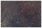 Lobate Flow Feature in Nereidum Montes
