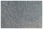 Dark Filamentary Streak Seasonal Monitor Site on Northern Plains
