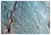Nilosyrtis Region
