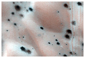 Seasonal Activity over Dunes with Possible Recent Spiders
