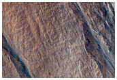 Gully Monitoring
