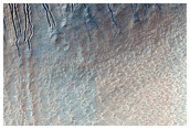 Dunes with Linear Gullies in Hellas Planitia
