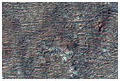 Possible Olivine-Rich Terrain
