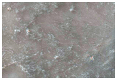 Pits in Southeastern Syria Planum

