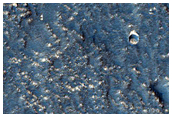 Terrain Sample
