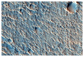 Streamlined Landforms in Acidalia Region in MGS MOLA Topographic Products
