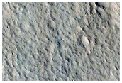 Landforms in Utopia Planitia
