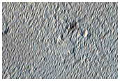 Monitoring Fresh Impact Site
