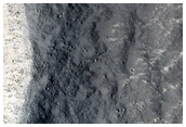 Well-Preserved Simple Crater in Elysium Planitia
