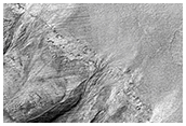 Gully Monitoring
