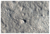 Flow Margins in Utopia Planitia
