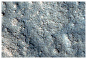 Terrain Sample among Polygons Northeast of Lyot Crater
