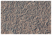 Boulder Field in South Polar Region
