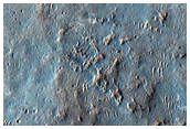 Wrinkle Ridges in West Meridiani Planum 
