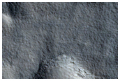 Crater Fill and Expanded Secondaries Sourced from Maricourt Crater
