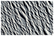 Monitoring Site in Northern Amazonis Planitia