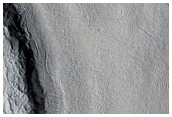 Field of Craters in Utopia Planitia