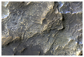 Clays in the Eridania Basin