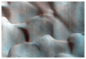 Dune Field Activity Monitoring
