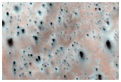 Active Dunes with Star-Shaped Fans
