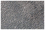 Dark Filamentary Streak Year-Round Monitor Site in Noachis Region
