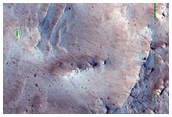 Complex Crater in Utopia Planitia
