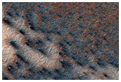 Spider Terrain Not on South Polar Layered Deposits
