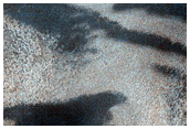 Polar Dunes and Frost

