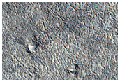 Monitoring New Impact Site
