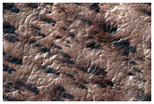 Spider Terrain Dubbed Oswego
