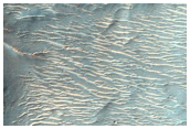 Possible Channel Bar in Ladon Vallis
