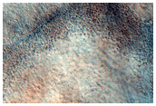 Pitted Cones in Chryse Planitia
