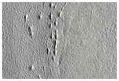 Impact Monitoring in Arcadia Planitia
