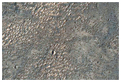 Well-Preserved Transitional 8-Km Crater Ejecta
