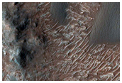Star and Barchan Dune Monitoring near Tyrrhena Terra
