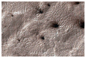 Spider Terrain
