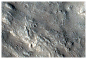 Layers in Trough in Elysium Fossae Region
