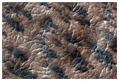 Spider Terrain in Region Dubbed Oswego
