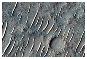 Mid-Latitude Terrain Sample
