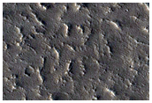 Fracture near Tractus Fossae
