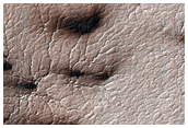 Classic Spider Terrain in Region Dubbed Manhattan
