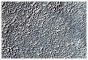 Terrain Sample
